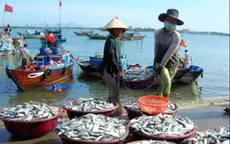 Gần 7.500 hộ nông dân tham gia bảo hiểm thủy sản