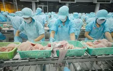 Cảnh báo tình trạng thủy sản nhiễm hóa chất, kháng sinh cấm