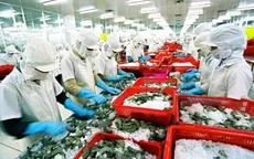 Một doanh nghiệp bị đưa ra khỏi danh sách xuất khẩu thuỷ sản vào EU