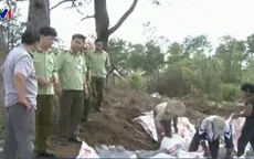 Vũng Tàu: Tiêu hủy hải sản sử dụng hàn the, formol