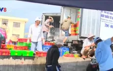 Lợi dụng thông tin cá chết, thương lái ép giá ngư dân