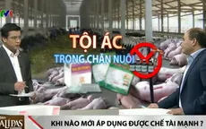 Sử dụng chất cấm trong chăn nuôi là tội ác và sẽ bị xử nặng