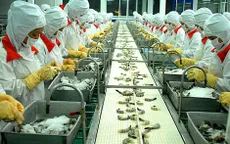 Hội chợ triển lãm công nghệ ngành tôm 2016