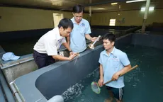 Cung cấp 8 tỷ con giống sạch cho người nuôi tôm