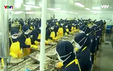Biến động tỷ giá tác động mạnh đến thị trường tôm