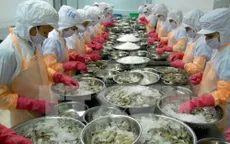 Thuế chống bán phá giá tôm vào Mỹ tăng gần 4 lần