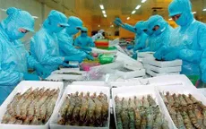 Mỹ tăng thuế chống bán phá giá tôm Việt Nam