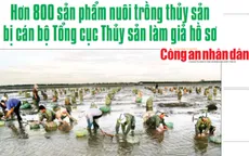 Điểm báo 21/7: Tranh nhau chỗ đỗ máy bay qua đêm