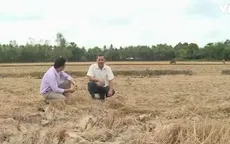EU tài trợ Việt Nam 90.000 Euro đối phó hạn, mặn