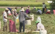 Trà Vinh huy động hơn 200 tỷ đồng cho quỹ an sinh xã hội