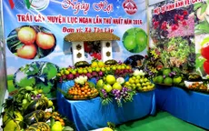 "Ngày hội trái cây Lục Ngạn" thu hút nhiều nhà vườn