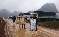 Trâu bò không thả rông, người dân “giữ ý” cho phim trường King Kong 2