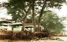 Bình Thuận khẩn trương di dời 200 hộ dân vùng biển lở