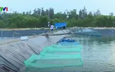 Quảng Trị cấp hơn 900 triệu đồng hỗ trợ ngư dân