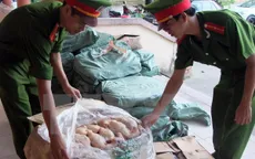 Phát hiện 450kg thịt gà đông lạnh không rõ nguồn gốc tại Quảng Trị