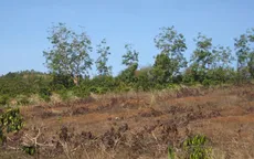 Hà Nội hỗ trợ 19 tỷ đồng cho các địa phương bị hạn hán, ngập mặn