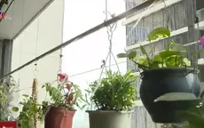 Tưới cây bằng... điện thoại thông minh