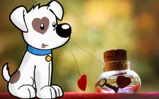 Vận mệnh Tuổi Tuất năm Bính Thân 2016