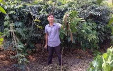 Chàng trai khởi nghiệp từ cây dược liệu ở vùng cao Thái Nguyên