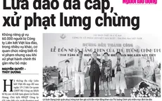 Xử phạt đa cấp: Giơ chưa cao và đánh cũng chưa đau?