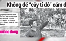 Phải lòng “cây tỷ đô”, hàng loạt nông dân "ôm hận"