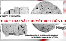 Kinh hoàng công thức làm giò bò: Thịt lợn nái ngâm huyết bò cùng hóa chất
