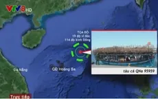 THTT: Trao đổi cùng ngư dân gặp nạn tại Hoàng Sa (16h, VTV8)