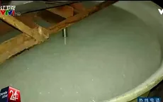 Hãi hùng sứa biển làm từ hóa chất tại Trung Quốc