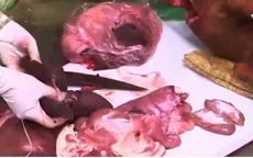 Lợn bệnh thành lợn mán: Quy trình kiểm dịch không chặt chẽ do... thiếu tiền