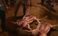 "Đường đi" của những miếng thịt từ lò giết mổ
