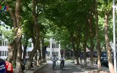 Xét tuyển ĐH-CĐ 2016: Đạp xe 30km đi nộp hồ sơ cho... yên tâm