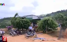 Khoảng 100 người tham gia vụ truy sát kiểm lâm tại Lâm Đồng