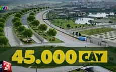 Hà Nội: Sẽ trồng 45.000 cây bóng mát trên Đại lộ Thăng Long