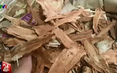 Khám chữa bệnh: Đừng "đùa" với Đông dược