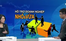 "Việt Nam không giàu để hỗ trợ hoành tráng cho doanh nghiệp nhỏ và vừa"