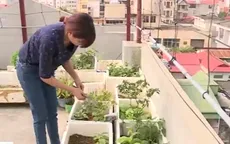 Rau trồng tại nhà có thực sự an toàn?