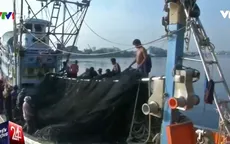 Ngành ngư nghiệp Thái Lan trước nguy cơ thua lỗ