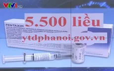 Mở đăng ký 5.500 liều vaccine Pentaxim qua mạng từ ngày 5/5