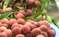 Thiếu kinh phí quảng bá, Trung tâm chiếu xạ Hà Nội chưa có đơn hàng