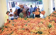 TP.HCM kích cầu tiêu thụ vải thiều