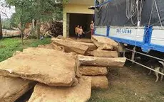 Khởi tố hình sự vụ vận chuyển lâm sản trái phép tại Gia Lai