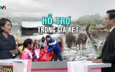 Đợt rét kỷ lục ở miền Bắc: Thiệt hại quá lớn và quá đột ngột