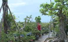 Hàng nghìn hộ thoát nghèo nhờ nguồn vốn ưu đãi
