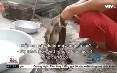 Cảnh giác mầm bệnh lây lan từ "đặc sản" thịt chuột