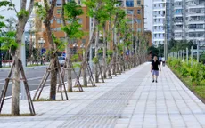 Nhà văn Nguyễn Văn Thọ và câu chuyện lập lại trật tự vỉa hè