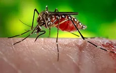 WHO cảnh báo nguy cơ Zika lan rộng tại châu Á - Thái Bình Dương