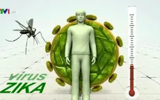 Bộ Y tế hành hướng dẫn chẩn đoán và điều trị bệnh do virus Zika