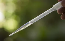 Brazil thử nghiệm vi khuẩn kiềm chế sự lây lan Zika