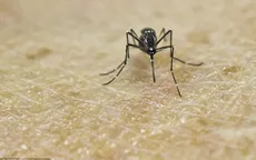 Brazil công bố bằng chứng Zika lây truyền qua muỗi
