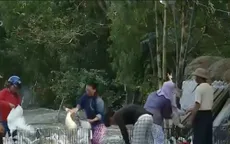 Thịt vịt - Món ăn hàng đầu tại miền Trung trong ngày Tết Đoan ngọ